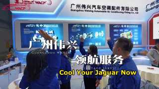 Compresseurs AC automobiles pour les marchés mondiaux